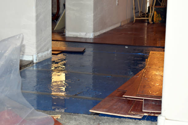 Professional Emergency Water Damage Restoration technician working in Amboy, IL
